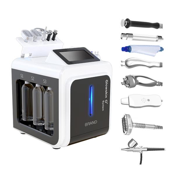 Desktop type 10 in 1 multi function hydra dermabrasion bio ultrasound facial machine